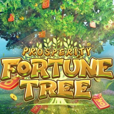 รีวิว Tree of Fortune ต้นไม้ให้โชค ที่จะทำให้คุณรวย